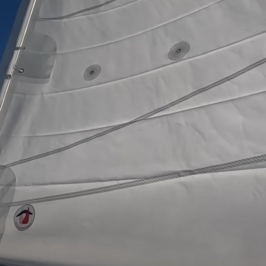 New Rolly Tasker Sails for Wind Hippie